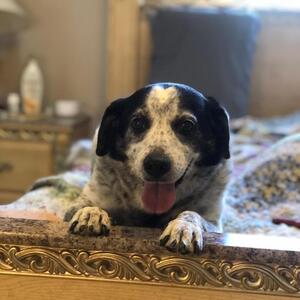 Fundraising Page: Nancy McCall